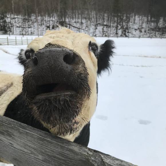 Meet your Posher, Danielle - Picture 1 of 1